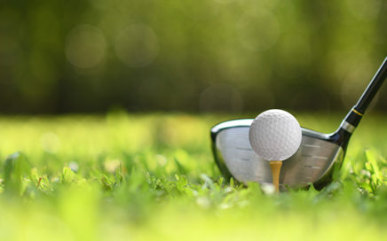 Golf Tee and Club